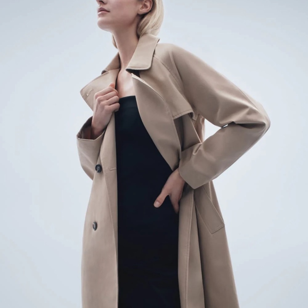 Everlane The Modern Trench Coat